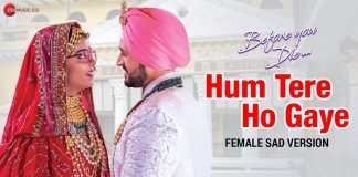 Lyrics Hum Tere Ho Gaye (Female)