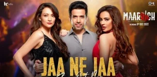 Lyrics Jaa Ne Jaa Lyrics Jaa Ne Jaa from Maarrich (2022)